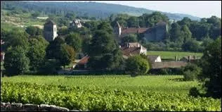 La ville bourguignonne de Gevrey-Chambertin, rputes pour ses vins, se situe dans le dpartement ...