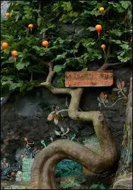 La maison de Luna est :