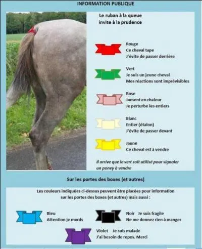 Ces rubans sont des :