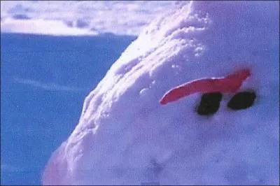 Dans  Dumb and Dumber , lequel des deux olibrius personnifie, � sa fa�on, un bonhomme de neige avec une carotte et deux cailloux ?