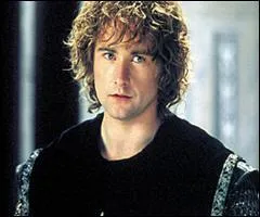 Aprs avoir offert son allgeance  Denethor, quel grade Pippin se voit-il offrir ?