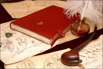 A la fin du troisime film clturant la trilogie, on retrouve le vieux Bilbon et Frodon en route pour les havres gris qui les mneront vers les terres immortelles. Avant leur dpart, Frodon tient  faire quelque chose du livre o Bilbon et lui ont crit leur histoire. Que fait-il ?