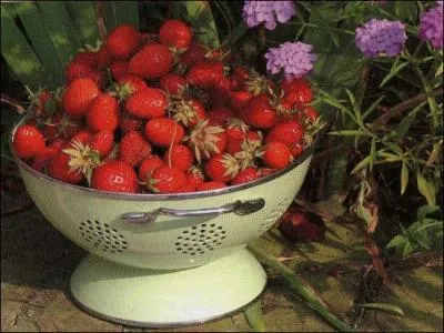 Dans quel dpartement sont produites les fraises de Samer ?