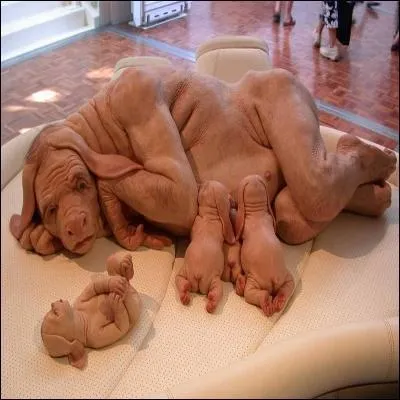 Toute mutation est responsable de phnomnes pathologiques.