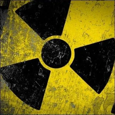 Les lments radioactifs sont surtout concentrs dans la crote terrestre.