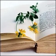 Qui a crit  Le mur  ?