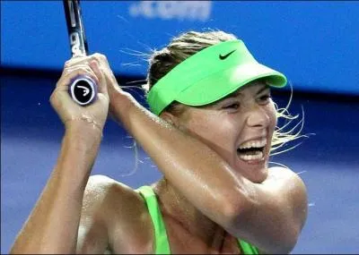 Quel est ce sport o les professionnels s'affrontent durant l'anne au cours de quatre tournois dits  du Grand Chelem  ?