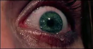 Un magnifique trs gros plan de cinma. dans quel film peut-on le voir ?