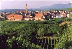 Pour commencer, je vous emmne  la dcouverte du village alsacien de Bennwihr, dans la Communaut de Communes du Pays de Ribeauvill. Nous serons donc dans le dpartement ...