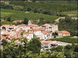 Nous survolons la commune languedocienne d'Espira-de-Conflent. Nous sommes dans le ciel du dpartement n ...