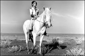 Quel est ce cheval blanc ?