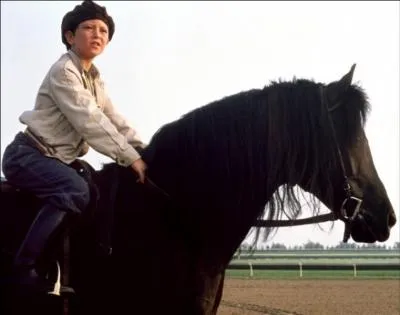 Qui est ce bel talon noir au caractre sauvage ?