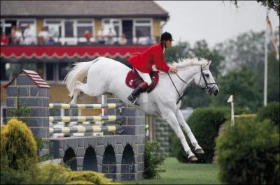 Qui est ce KWPN mont par John Whitaker ?