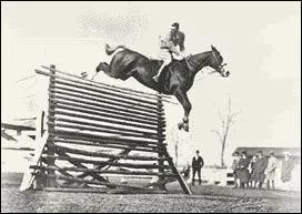 Qui est ce cheval ayant battu le record du monde de saut en hauteur ?