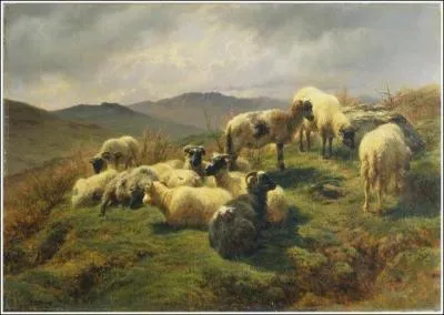 Qui a peint Moutons dans les Highlands ?