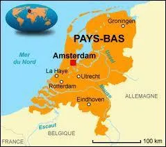 Quelle tait la monnaie officielle des Pays-Bas avant l'arrive de l'euro en 2002 ?