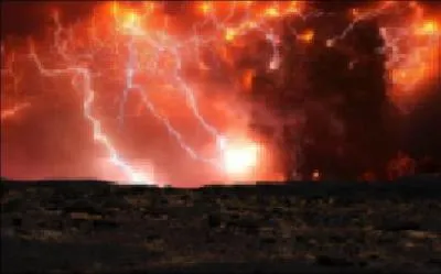 De quel croisement de races est tir le lozard ?