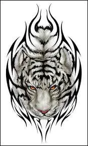 Comment communique le tigre ?