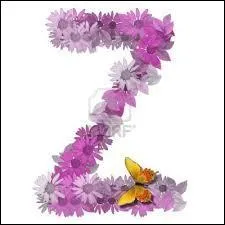 Je vous fais encore une fleur avec l'ornithogale !