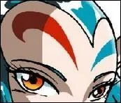 Y a-t-il un quelconque lien entre Kalandre et la marque que Shimy porte sur le front ?