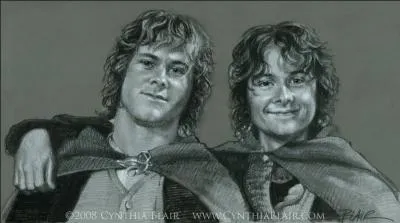 O et dans quelles circonstances rencontre-t-on Pippin et Merry pour la premire fois ?