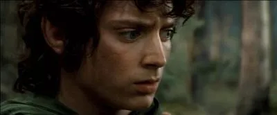 Avant de reprendre une barque pour continuer sa qute, qu'entend Frodon ?