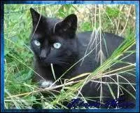 Quel frre de Patte d'Araigne est dcd ?