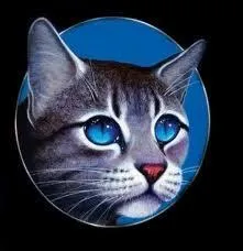 Combien de frres et soeurs Nuage de Geai a-t-il ?