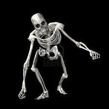 Quel ge  Lucy, le plus vieux squelette du monde ?