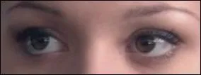 Si vous avez l'impression d'avoir dj vu ces yeux c'est normal, tant donn qu'il s'agit de ...