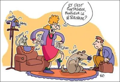 Depuis quelque temps, le doute m'habite ...