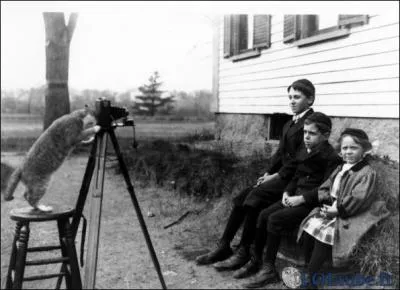 On ne bouge plus, souriez ...