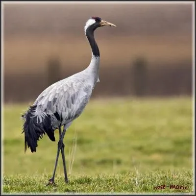 Vous aviez rendez-vous  20 heures, il est 21 heures, a fait maintenant une heure ...