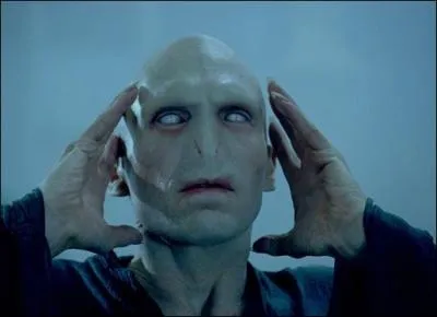Quel est le nom d'origine de Voldemort ?