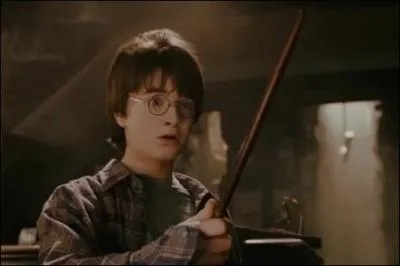 Qui a dit :  You're a wizard, Harry  ?