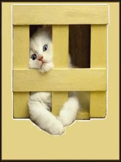 Quand on est dans un mtro ou dans un tram rempli, on dit qu'on est serr comme des :