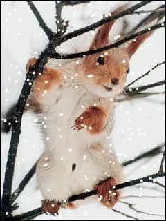 Quand on est malin, on dit :