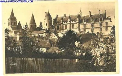 Voici le chteau de Chinon (Indre et Loire).