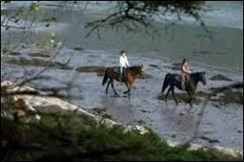 Comment appelle-t-on le "cheval du fleuve " ?