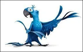 Comment s'appelle le film qui parle d'un oiseau bleu qui tombe amoureux d'un autre oiseau de la mme race ?