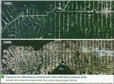 Qu'est-ce qu'un front pionnier ?