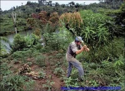 Que fait cet homme ?