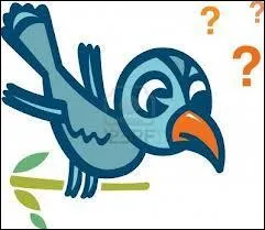 Qu'est-ce qu'une palombire ?