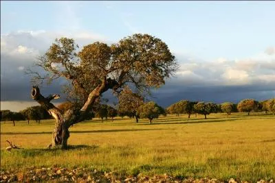 Laquelle de ces rgions d'Europe du Sud n'est-elle pas situe en Italie ?
