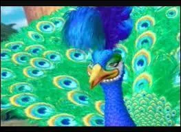 De quelle couleur est la peau de Sagi ?