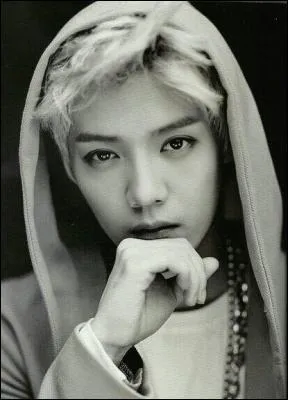 Quel est son nom de scne ?