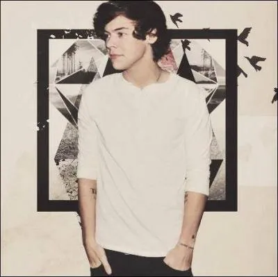 Quel est le nom complet de Harry ?