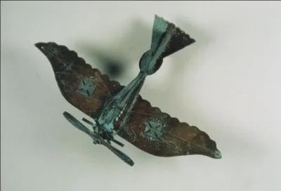 Les molosses vivant dans les fentes des rochers ou dans les cavernes ne sont pas des chiens. Quels sont ces animaux ?