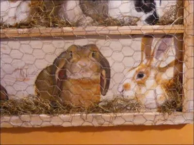 Dans quel dpartement se trouve la commune de Clapiers faisant partie du canton de Montpellier ?