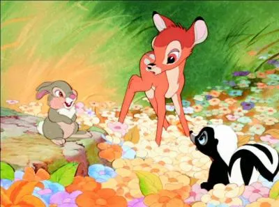 Dans  Bambi  , avec quel animal joue-t-il en premier ? (un peu aprs sa naissance)